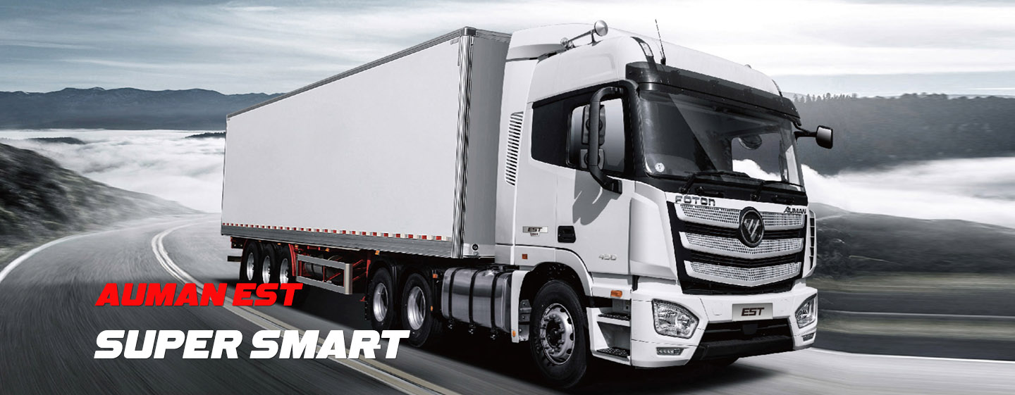 Silver AUMAN EST fleet trucks